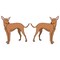 Signmission Cirneco Delletna Dog Decal, Dog Lover Decor Vinyl Sticker D-24-Cirneco Delletna - alternate 1